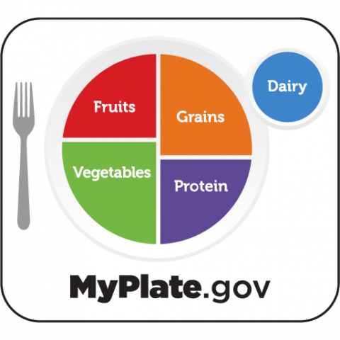 MyPlate