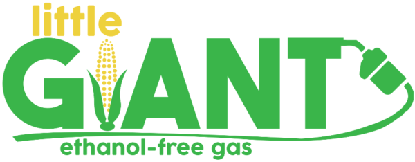 Little-Giant-LOGO-e1495813575413[1]