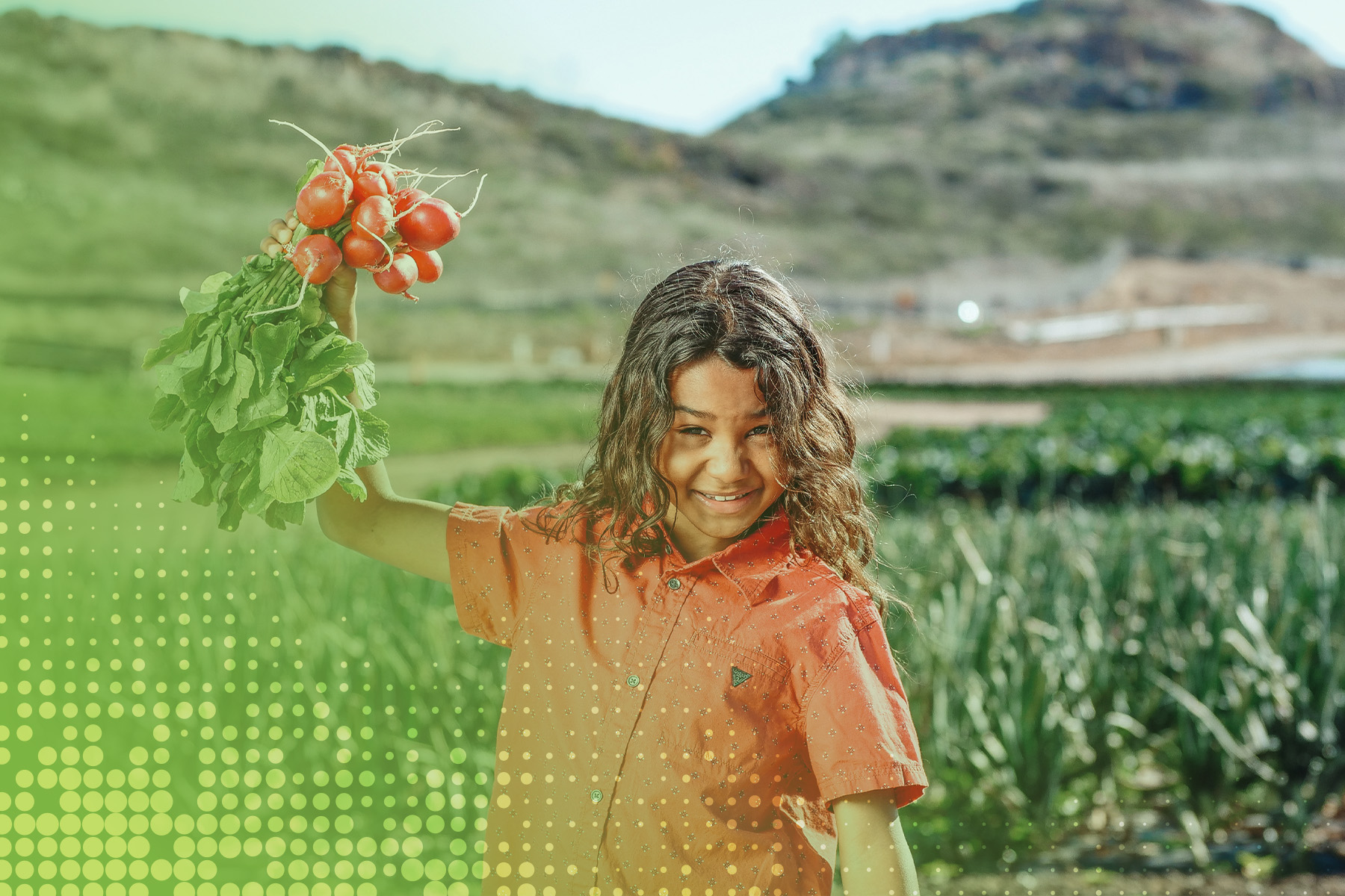 local-farmers-and-farm-to-school-impact