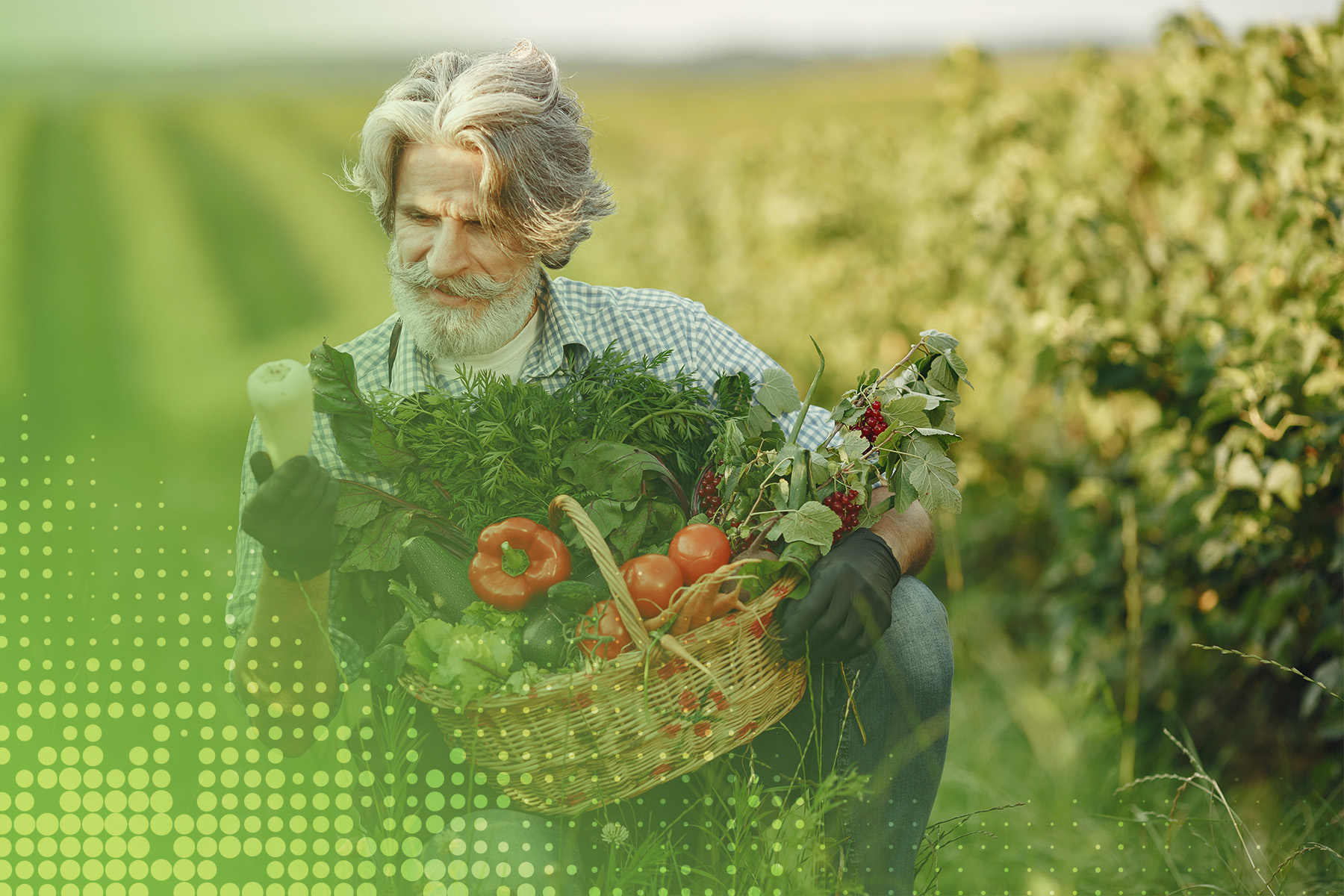 national-farmers-day